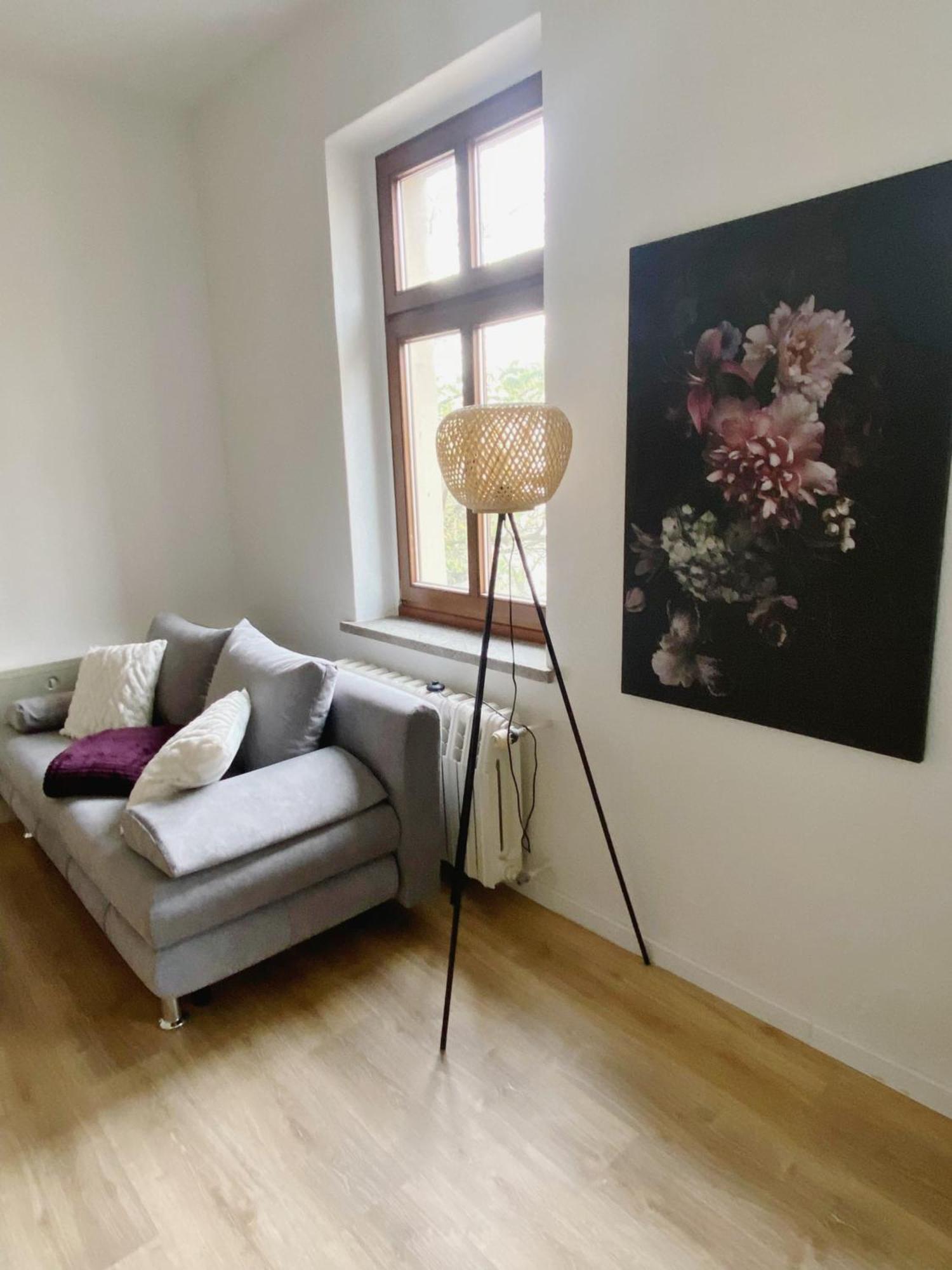 Historische Altbauwohnungen Im Zentrum Von Zwickau - Apolonialiving Extérieur photo